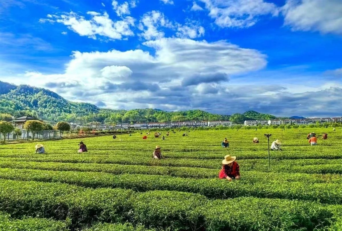 Picking