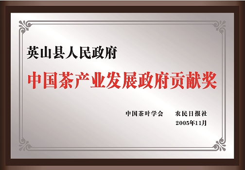 Honor 13