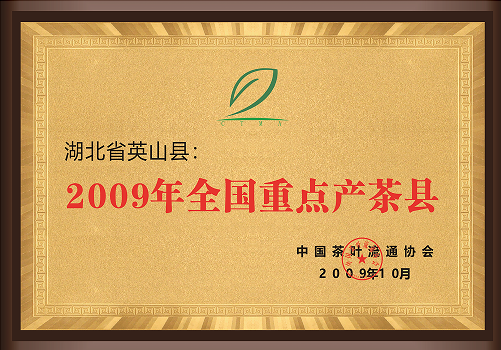 Honor 14